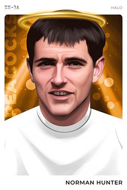 Norman hunter Halo