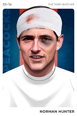 Terry butcher card